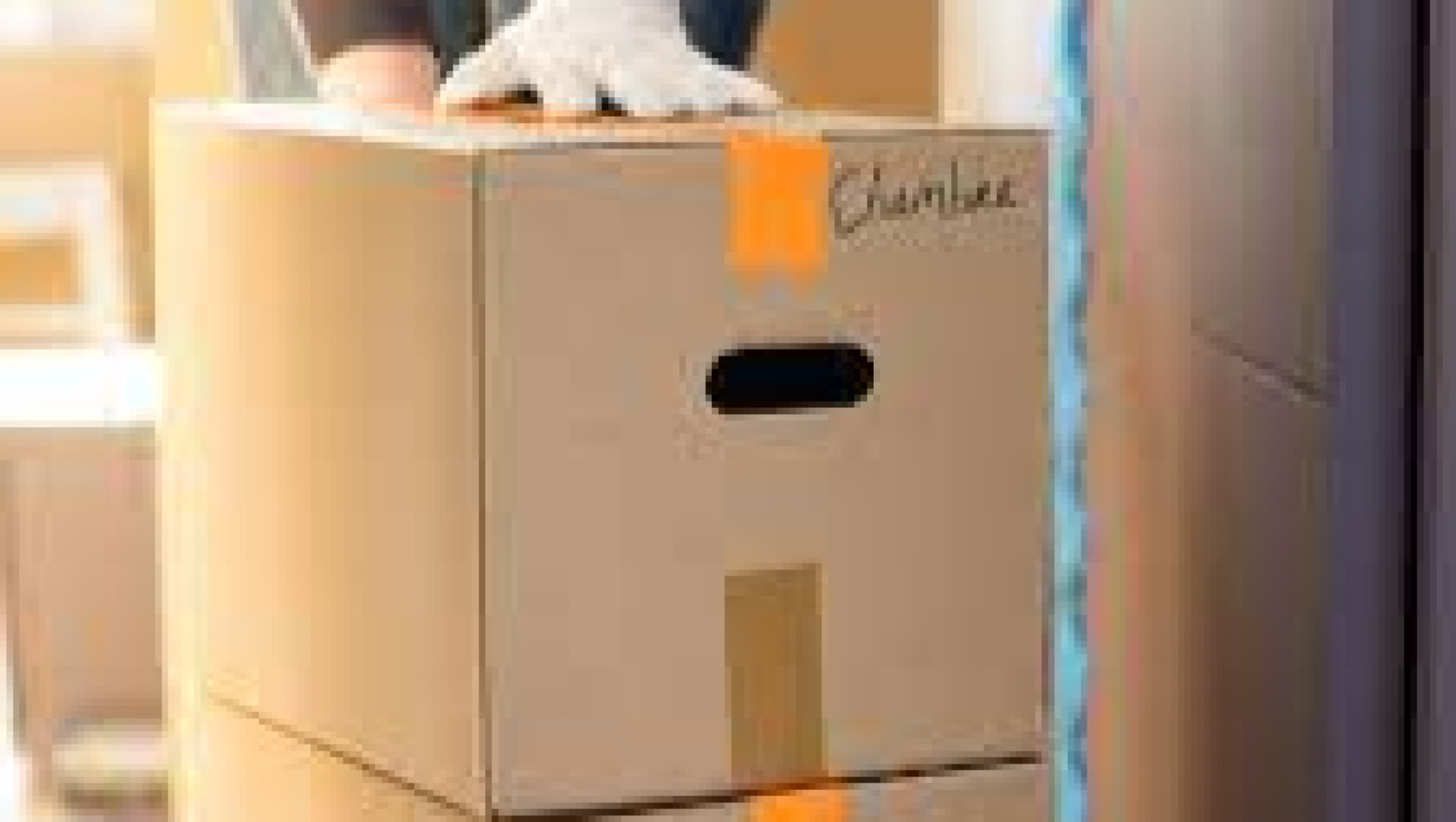 TRANSPORT UNIQUEMENT